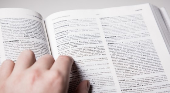 Dictionnaire Illustration - Belga Siska Gremmelprez