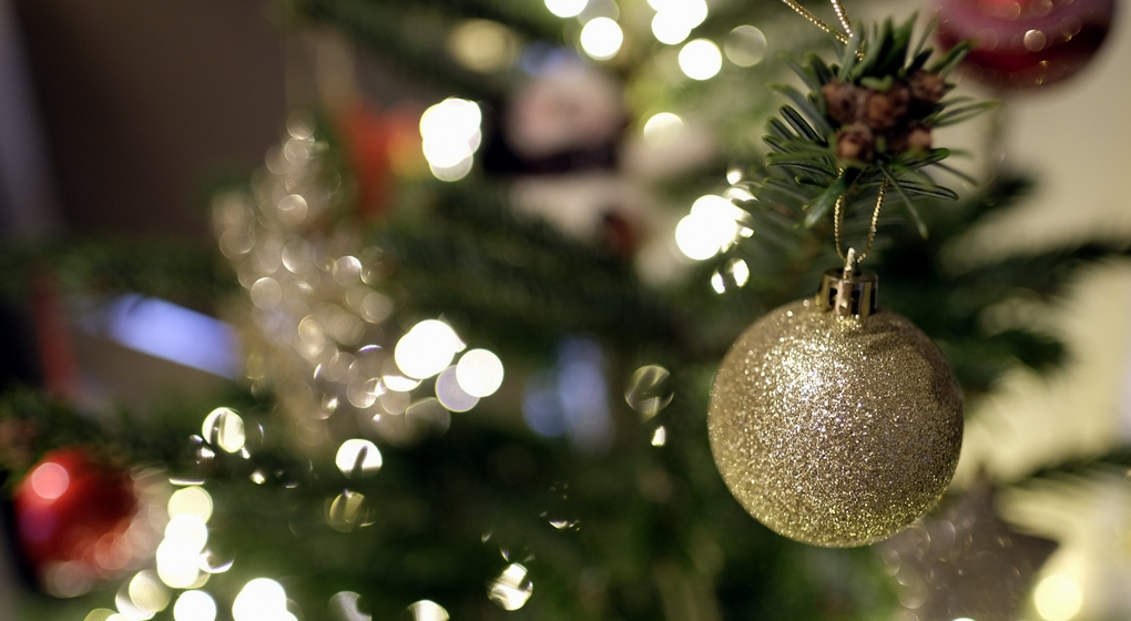 Sapin de Noël - Illustration Belga Eric Lalmand