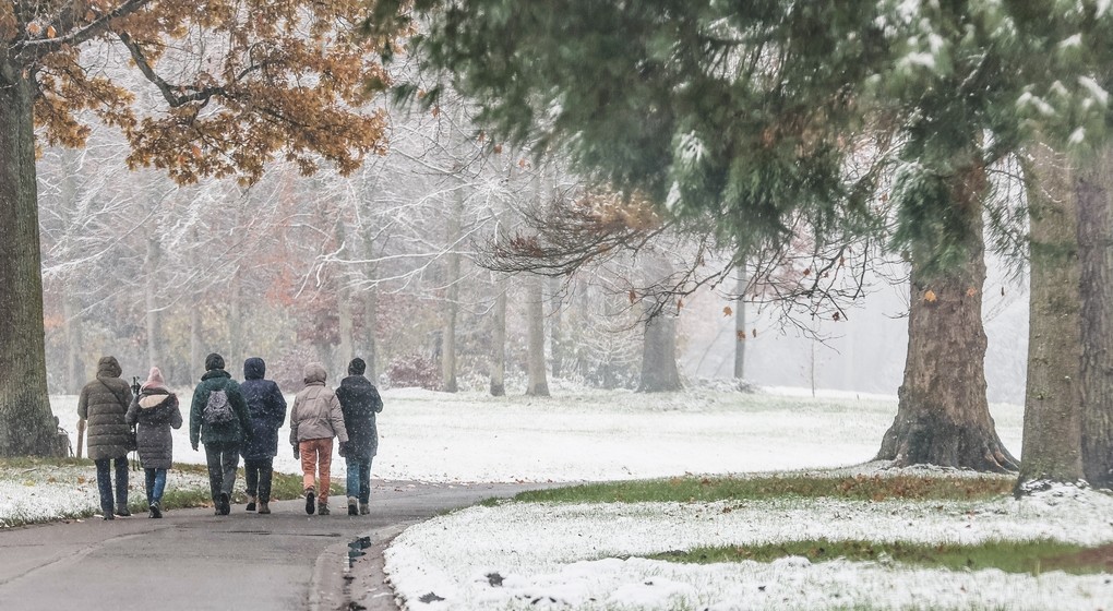 Neige Froid Hiver Illustration Météo - Belga Bruno Fahy