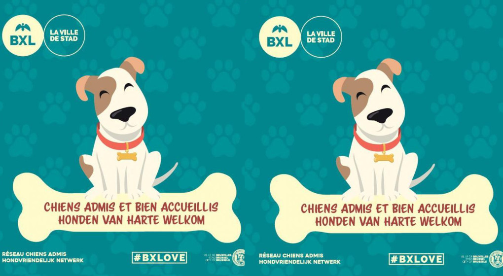 Réseau chiens admis Ville de Bruxelles