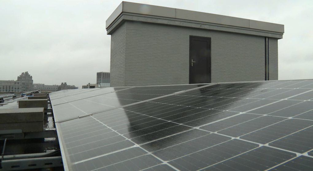 panneaux solaires sunsud - Photo : BX1