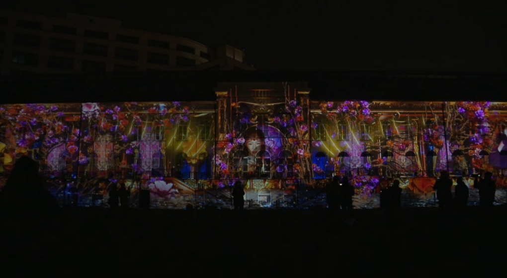 Bright Brussels 2023 - Mapping Musée des Sciences Naturelles - BX1