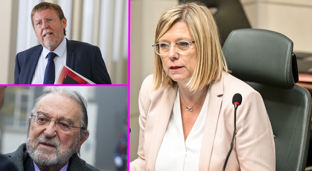 Chambre Pensions Complémentaires Eliane Tillieux Sigfried Bracke Herman De Croo