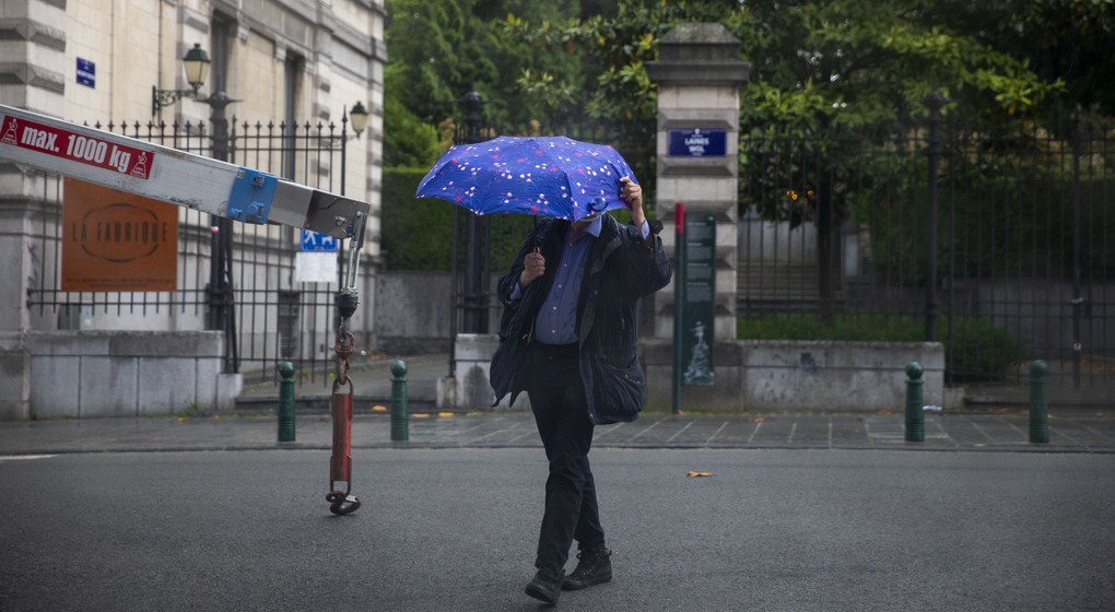 Pluie Parapluie Averses Bruxelles - Illustration Belga Nicolas Maeterlinck