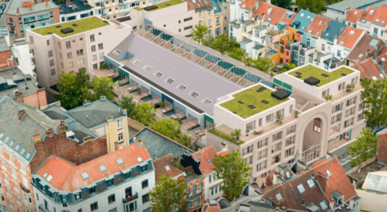 Royal Rinking - Delhaize Molière