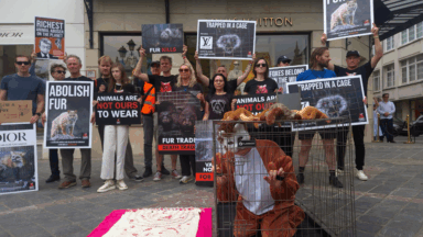 Bruxelles : des activistes manifestent contre la fourrure devant Dior et Louis Vuitton