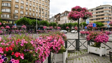 Saint-Josse participe au concours de la plus belle ville fleurie du monde