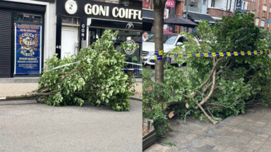De nouveaux arbres sciés à Schaerbeek : l’auteur a été filmé par une caméra de surveillance