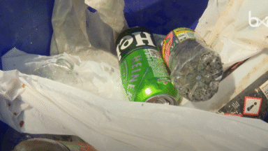 À Bruxelles, une association lutte contre la pollution plastique dans le canal