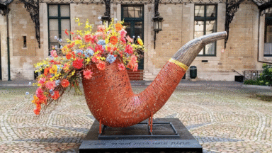 La Ville de Bruxelles lance la cinquième édition de ses “commerces en fleurs”