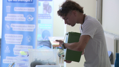 Compostage : des formations pour se lancer
