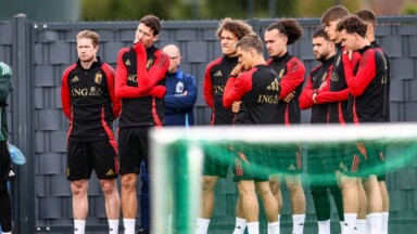 Les Diables Rouges organiseront un entraînement ouvert au public le 1er septembre