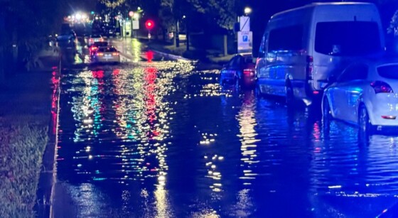 76 interventions des pompiers liées au vent à Bruxelles