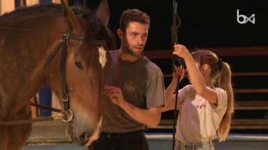 Un spectacle équestre investit le Drohme Park