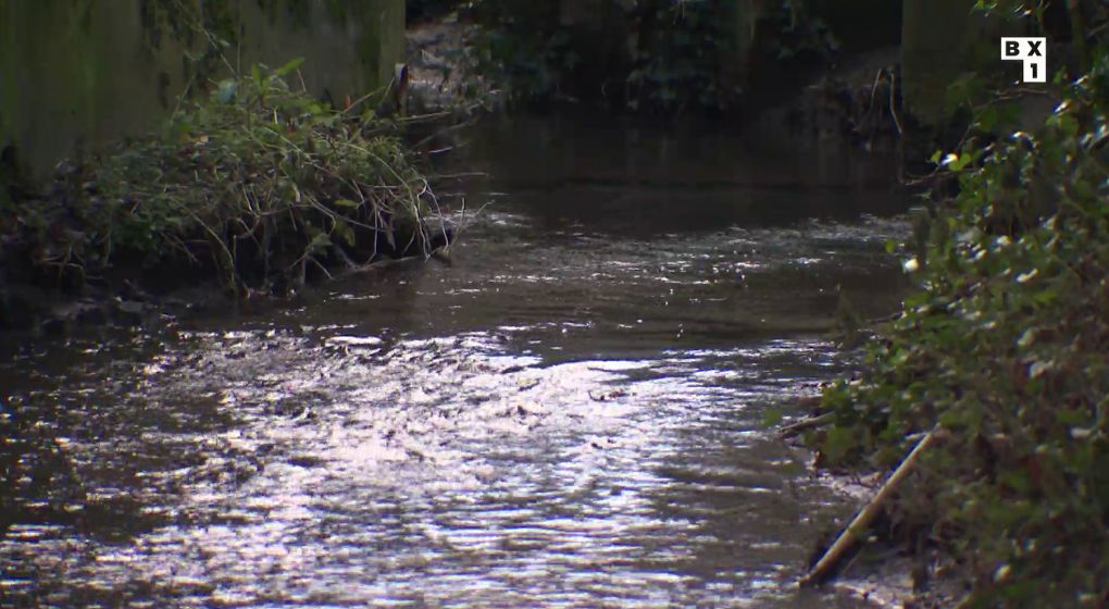 Le projet de remise à ciel ouvert du Linkebeek soumis à enquête publique à Uccle