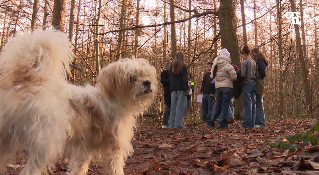 Une expérience de médiation animale en milieu scolaire