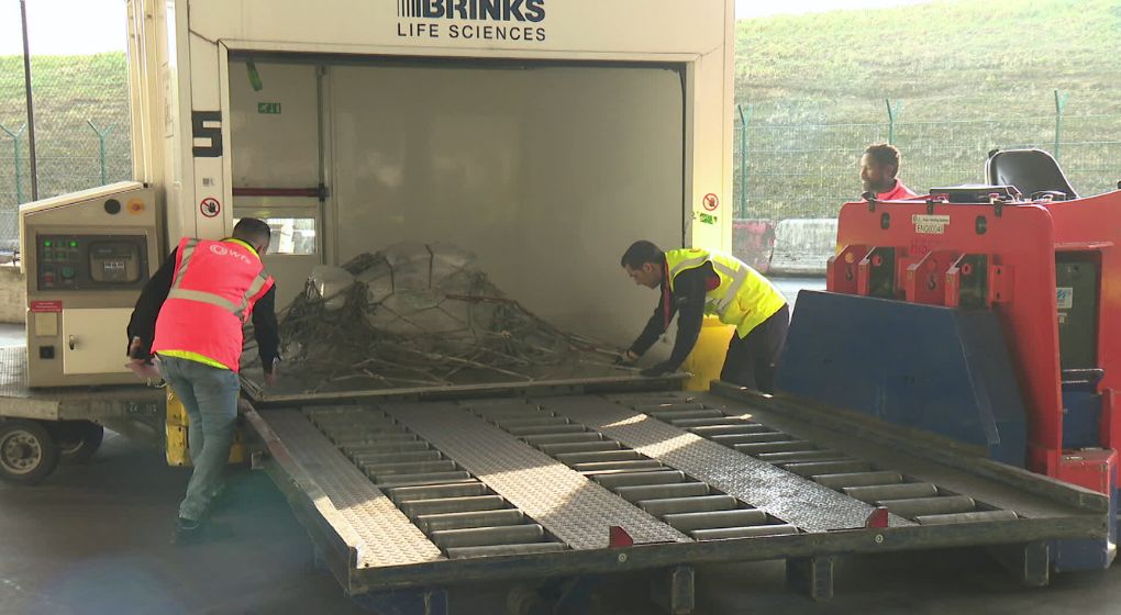 Brussels Airport teste le transport de traitements innovants contre le cancer