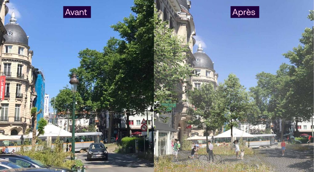 REDAC_IMAGE_ARTICLE (9)